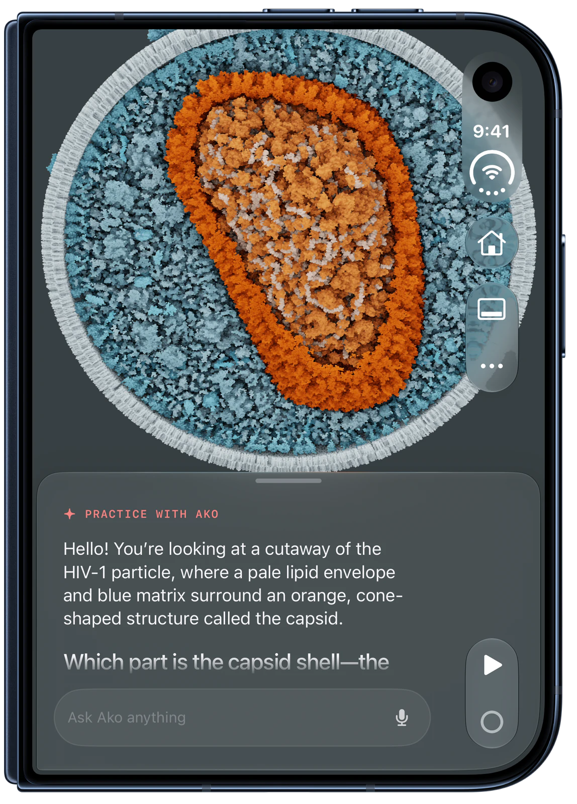 CellWalk on iPhone Duo, closed: Ako asks about the HIV-1 capsid.