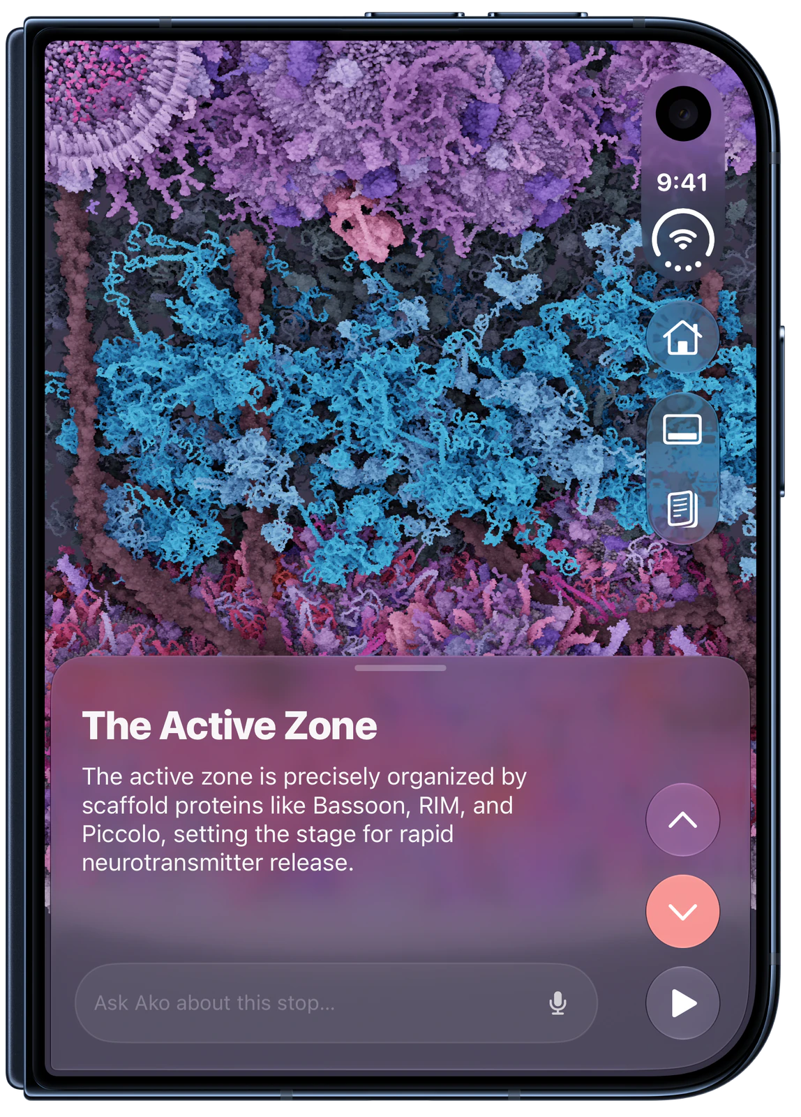 CellWalk on iPhone Duo, closed: A neuron’s active zone, with its tour card.