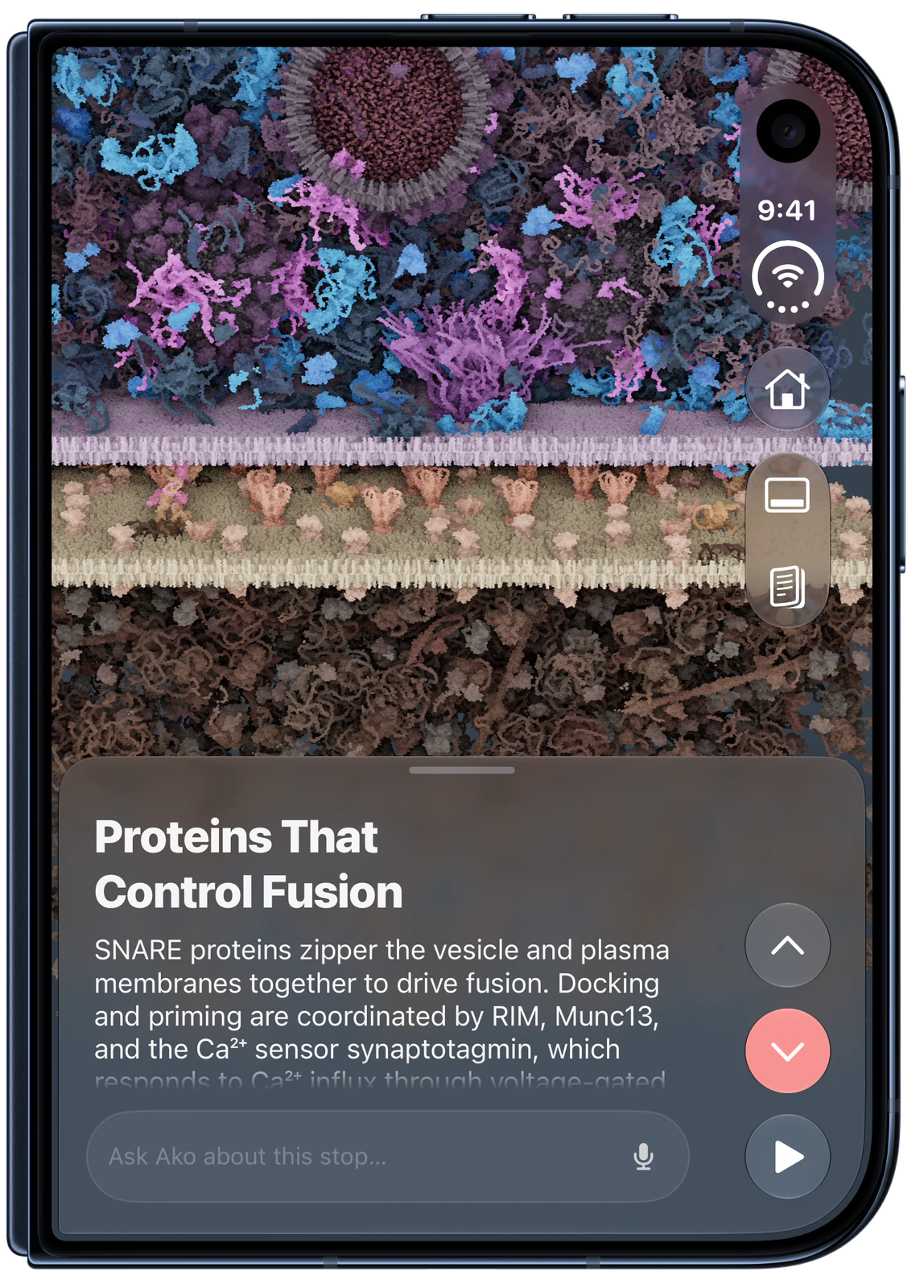 CellWalk on iPhone Duo, closed: Synapse tour: Proteins That Control Fusion.