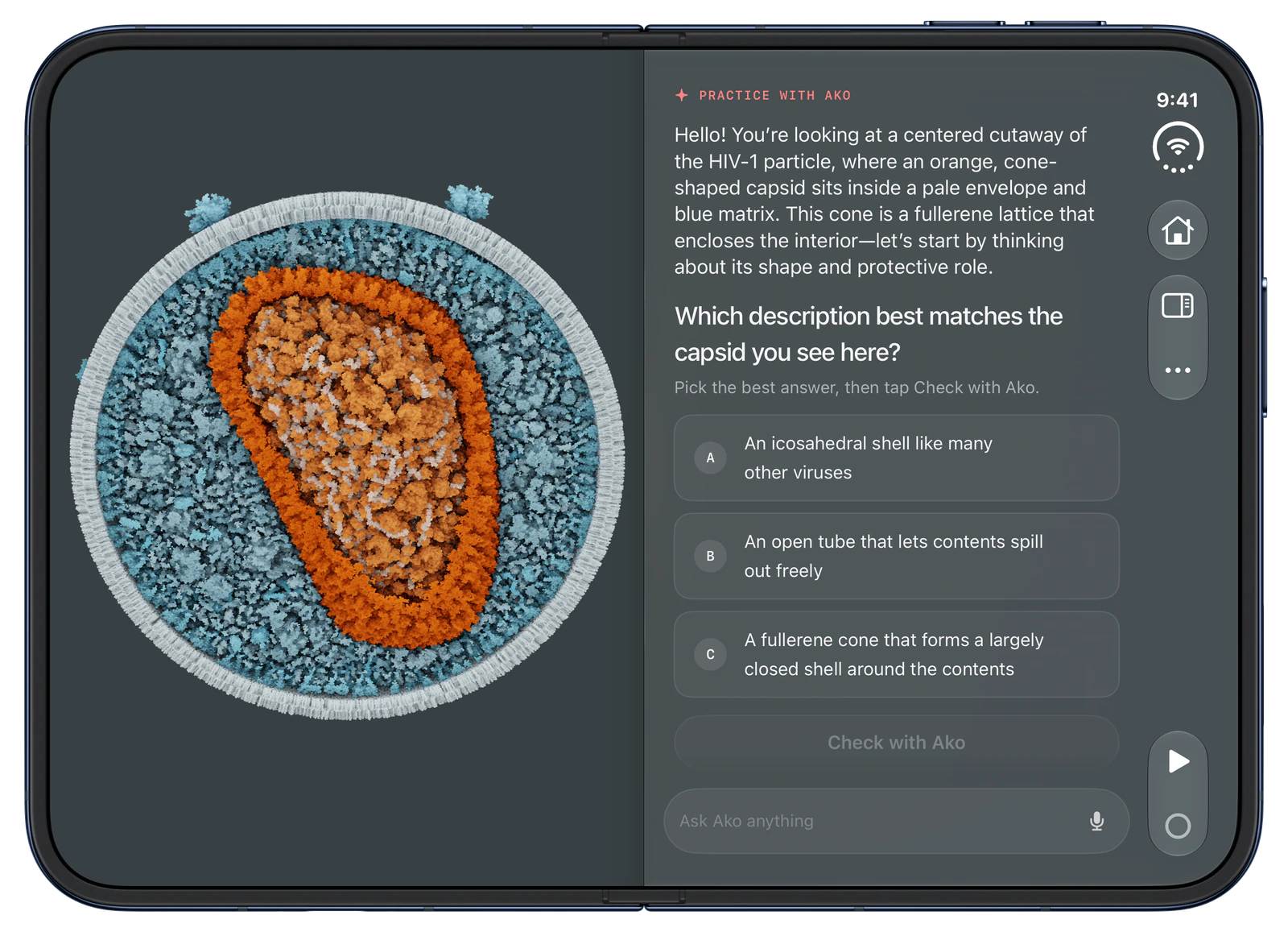 CellWalk on iPhone Duo, open: Ako asks about the HIV-1 capsid.