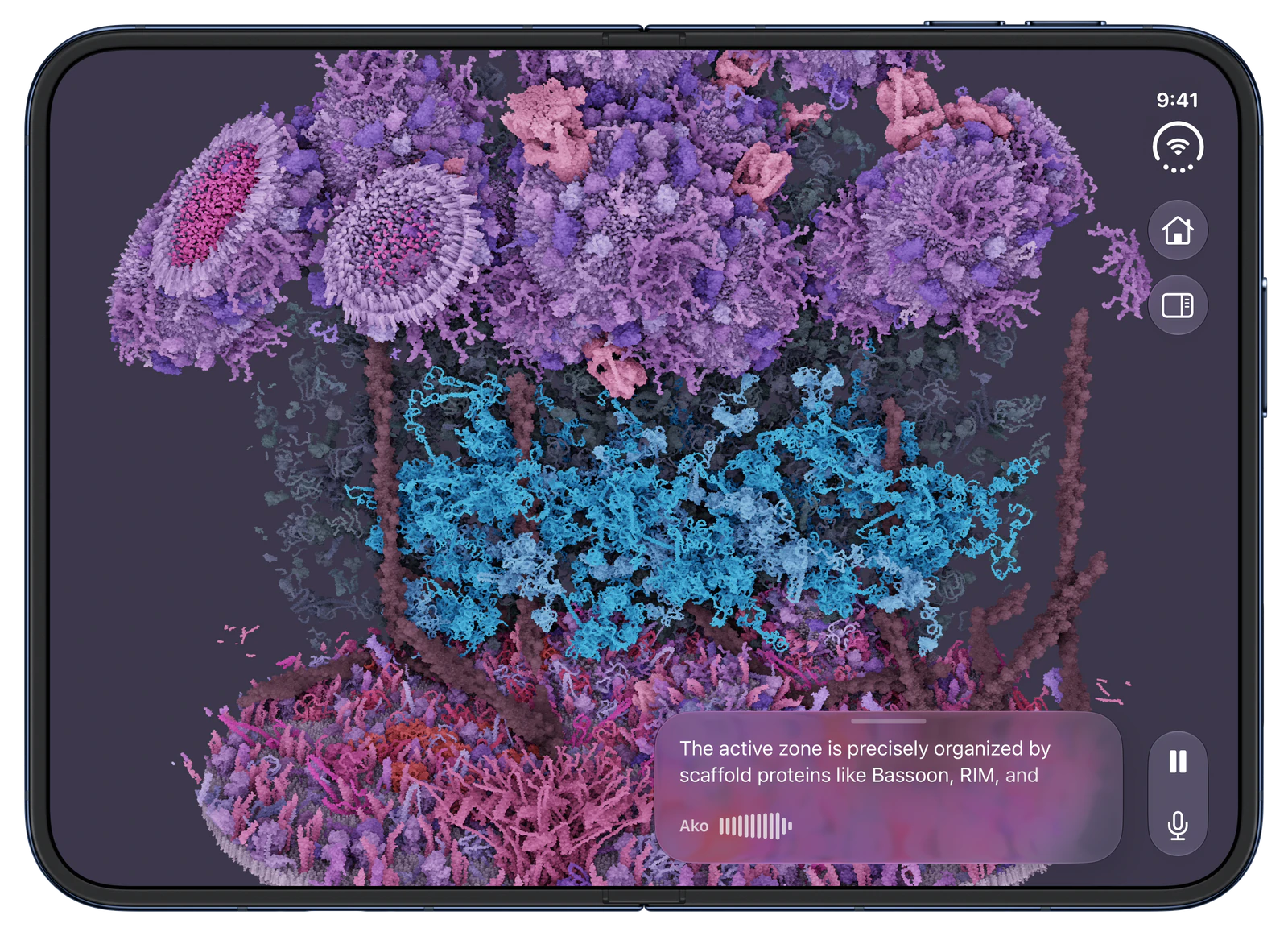 CellWalk on iPhone Duo, open: A neuron’s active zone, narrated by Ako.