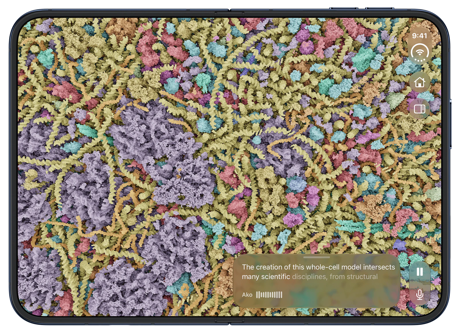 CellWalk on iPhone Duo, open: Inside the crowded cell, narrated by Ako.