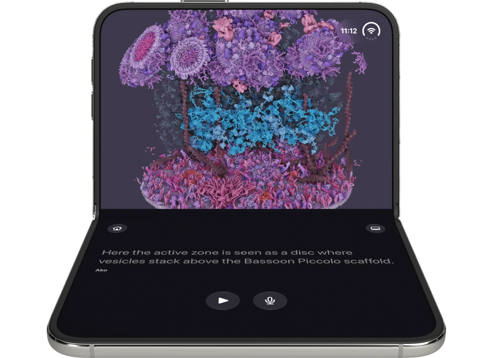 iPhone Duo seated on a desk, partially open: a neuron's active zone on the upper half, with Ako's caption and large Play and microphone buttons on the lower half.