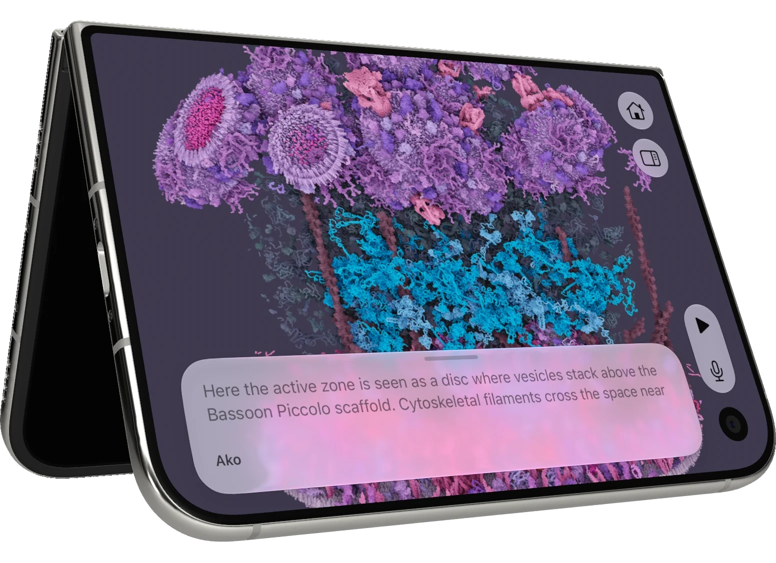 iPhone Duo standing on a desk, partially open: a neuron's active zone fills the cover display, with Ako's caption and controls beside it.